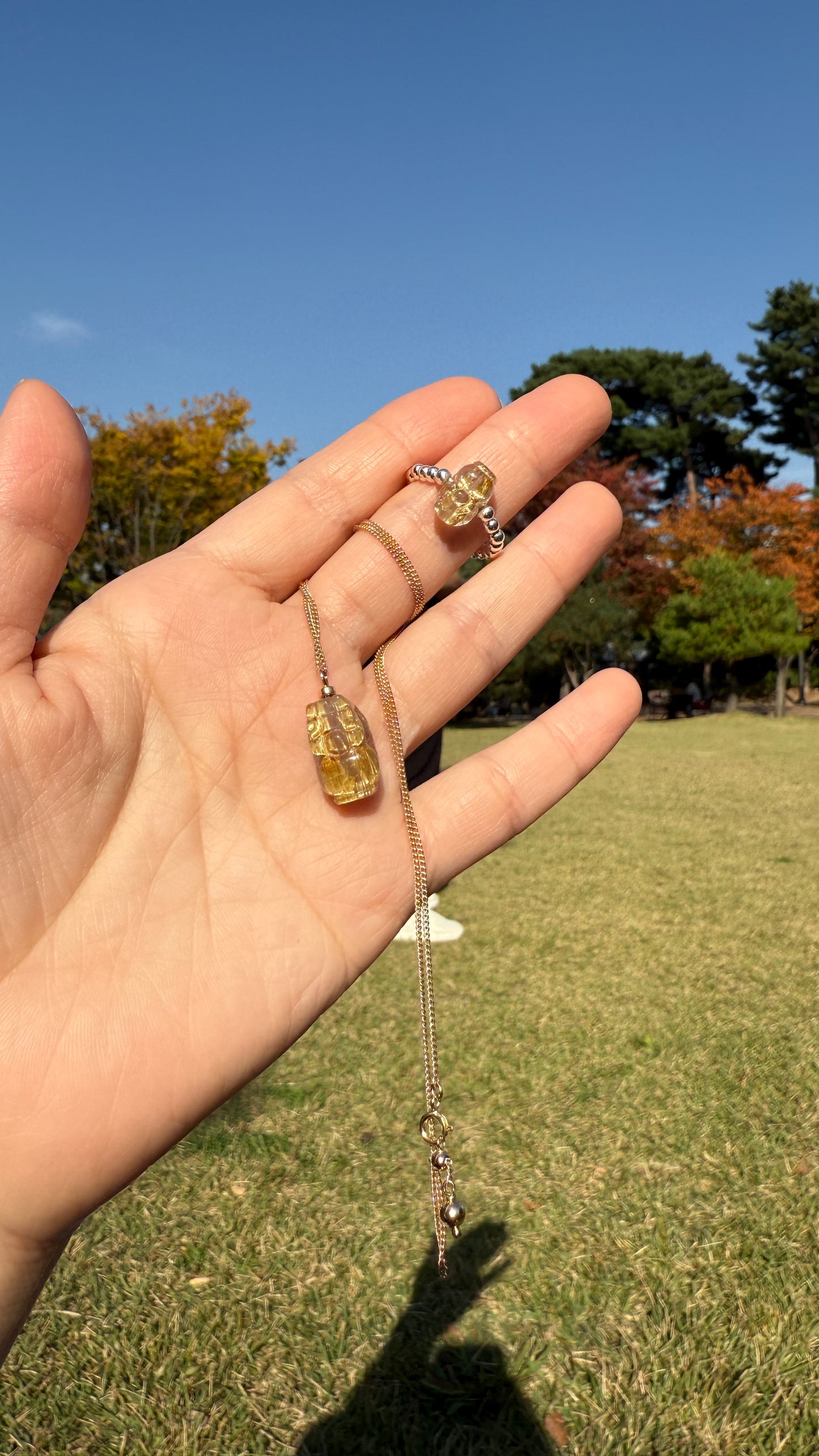 14k gold-filled  Wealth Guardian Necklace